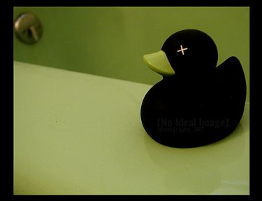 Dead Duck Print